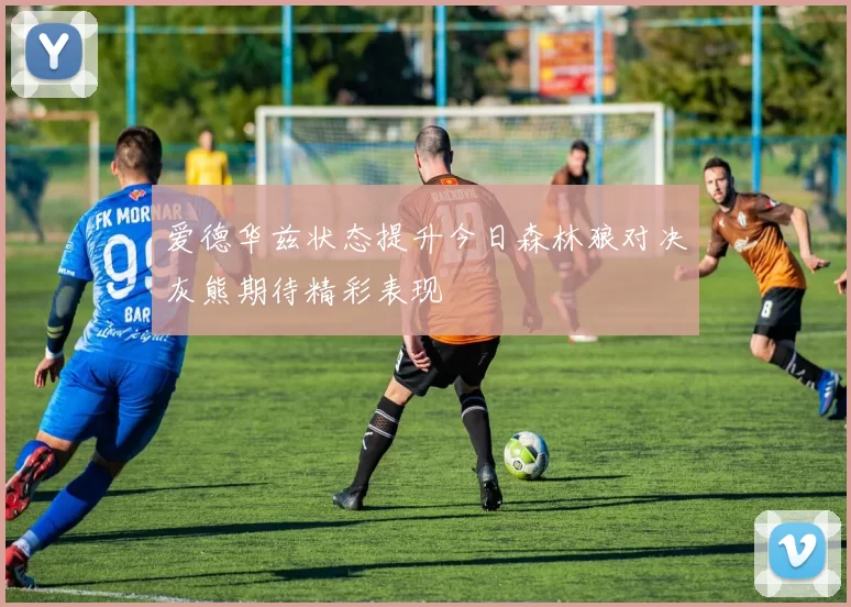 爱德华兹状态提升今日森林狼对决灰熊期待精彩表现